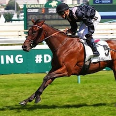 Txope, el caballo de Griezmann, ya gana carreras en Francia