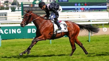 Txope, el caballo de Antoine Griezmann, se impone en el Prxi Tanit en el hip&oacute;dromo de Deauville.