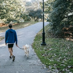 ¿Se puede perder peso caminando? Este es el consejo de un experto en eliminar barrigas: “25-28 horas”