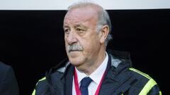 Vicente del Bosque