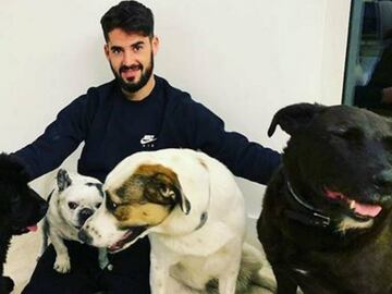 El &quot;National Puppy Day&quot; nos sirve para recordar lo felices que son estos deportistas a lado del &quot;mejor amigo del hombre&quot;, el perro.