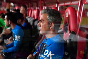 Toni Amor, segundo entrenador del Mallorca.