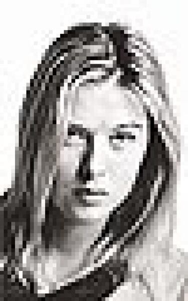 Las ocho participantes