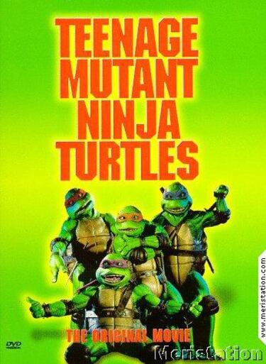 Teenage Mutant Ninja Turtles (Xbox)