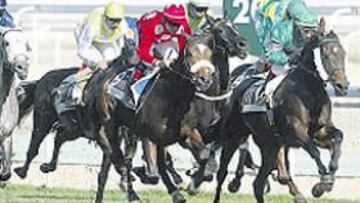 <b>TERCER DÍA DE ÉXITO. </b>La vistosidad de las carreras hizo que de nuevo se llenase La Zarzuela.