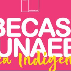 Beca Indígena de Junaeb: cómo apelar si no aparezco entre los resultados