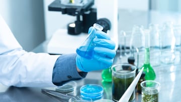 Las 10 personas m¨¢s influyentes en ciencia en 2023, seg¨²n Nature