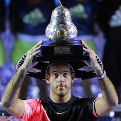 Del Potro se estrena en Acapulco a costa de Anderson