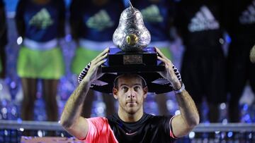 Del Potro se estrena en Acapulco a costa de Anderson