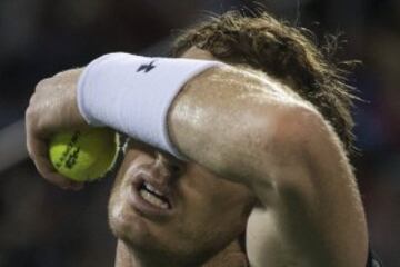 Andy Murray.