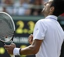 Djokovic, en semifinales tras deshacerse del joven Tomic