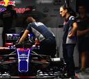 Marko descarta a Gasly para Austin: hay un Toro Rosso libre