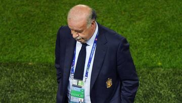 Del Bosque: "Es un disgusto, pero no estamos eliminados"