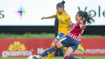 Guadalajara jugar&aacute; ante Tigres la semifinal de vuelta en el Universitario y necesitan el triunfo o hacer dos anotaciones y empatar, esta meta se ve complicada, pues UANL llega invicto.