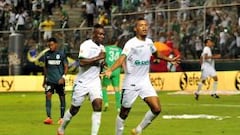 Deportivo Cali, sin público, recibe a Envigado