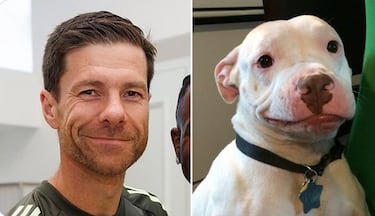 Los mejores memes de la derrota del Real Madrid ante el Celta