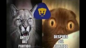 Los mejores memes de este 2015 sobre los Pumas
