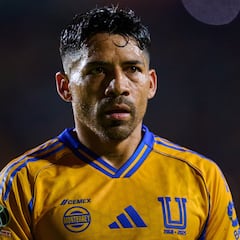 Los números de Javier Aquino en los Tigres