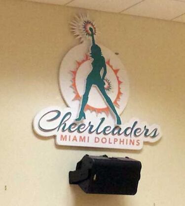 TRIBUNA LIBRE: Un juego de la NFL, visto desde adentro. Desde muy adentro.