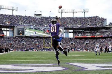 Imágenes y frases de wild card