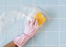 Cómo quitar el moho de la pared: este limpiador promete una protección duradera y un efecto desinfectante