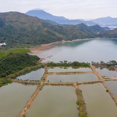 El pueblo fantasma abandonado hace 60 años al que está volviendo la población: Así viven sus habitantes