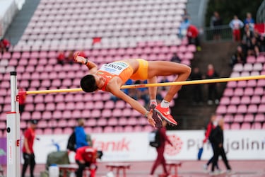 Trece finalistas y dos estrellas