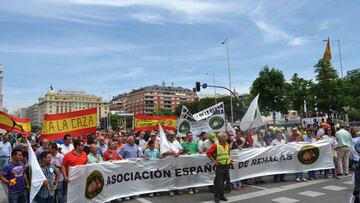 Más de 10 motivos para decir: ¡Basta ya!