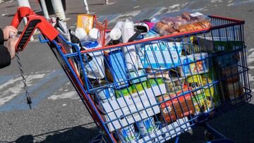 Una persona camina portando su carro de la compra lleno de comida y productos de primera necesidad.