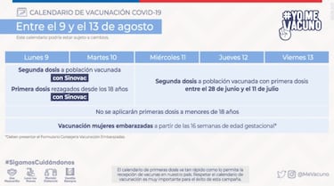 Calendario de vacunación hasta el 13 de agosto: a quién le tocará y horarios