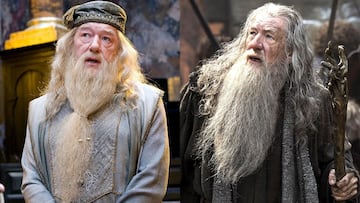 dumbledore gandalf harry potter ian mckellen