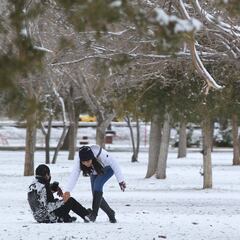 Frente Frío 25 y Tormenta Invernal, resumen 17 de enero: Estados afectados, trayectoria y últimas noticias en México