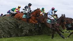 Vieux Lion Rouge y Definitly Red favoritos en el Grand National