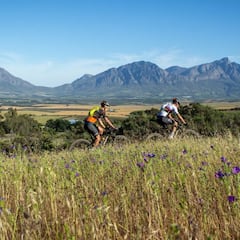 Sarrou enciende las alarmas y Stosek-Seewald dan el golpe