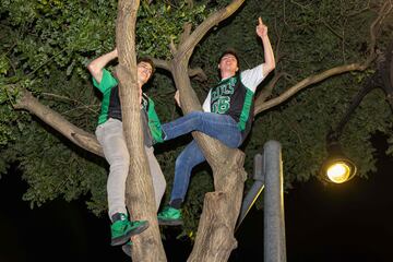 Aficionados de los Celtics celebran subidos en un árbol el título de su equipo. 