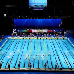 La FINA y la RFEN se posicionan en el conflicto Rusia - Ucrania