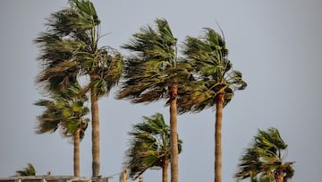 La tormenta Hilary se intensifica a huracán. ¿Cómo afectará a Estados Unidos? Aquí la trayectoria en tiempo real, zonas que tocará y hasta cuándo durará.