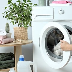 Cuidado si cierras la puerta de la lavadora después de utilizarla: estás poniendo en peligro tu salud