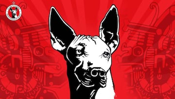 Hoy cumplen 12 años el Club Xoloitzcuintles de Tijuana