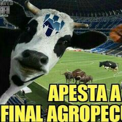 Los memes se preparan para una posible final regia