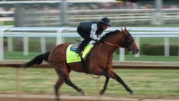 “The Run for the Roses” is just days away and horse racing fans and casual bettors will be looking for tips and hints on who to bet their money on.