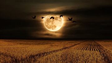 ¿A qué hora ver la superluna llena del Cazador?: fecha y cómo ver desde México este 2024