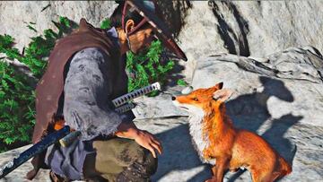 You can pet the fox