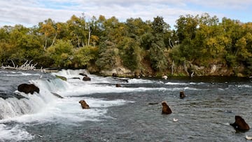 Scientists have found a fish off the west coast of the United States that has a surprising quality.