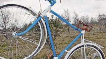 "La clavícula de Armstrong. 23-3-2009. Antigüedad", se lee en la placa del monumento situado entre Antigüedad y Cevico Navero (km 6,5 de la PP-1411).