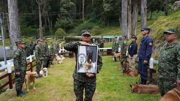 Quién fue Sansón, el miembro más querido del ejército de Colombia que salvó la vida de 36 soldados