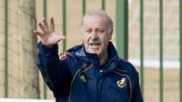 Del Bosque: "La derrota de Brasil no es una lección"