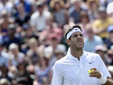 Djokovic barre a Pavlasek y Del Potro cae y sale de su camino