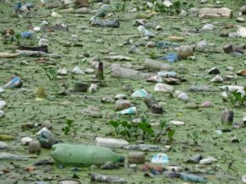 Así están las aguas de Río a pocos días de los JJ.OO.