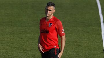 Nikola Kalinic.